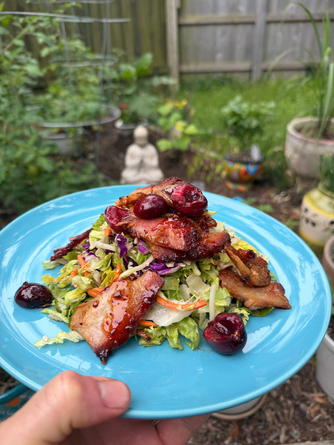 Brisket Salad